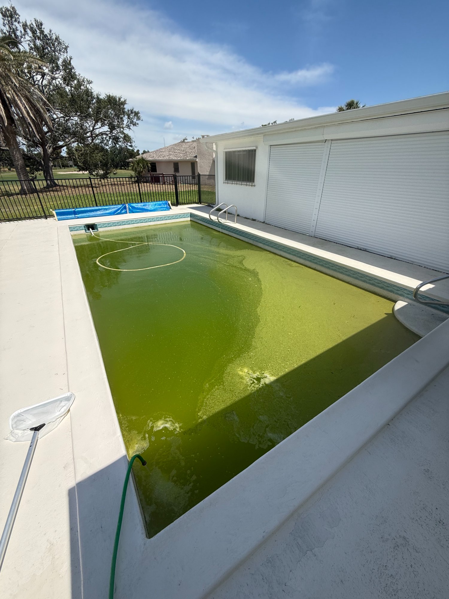 Pool before Luxe Aquatic service - green algae water